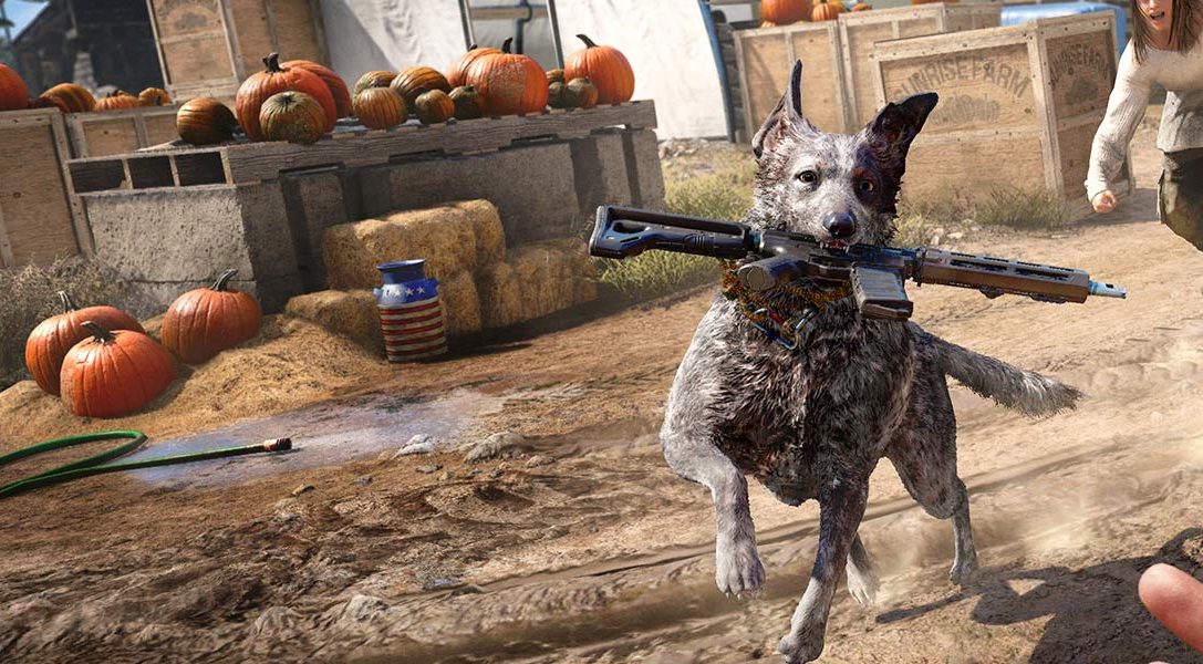 8 choses que nous avons apprises sur Boomer le chien et les autres animaux sauvages de Far Cry 5