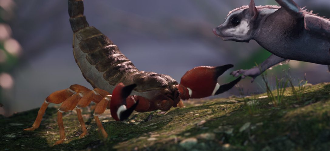 L’aventure animalière Away: The Survival Series donne vie aux documentaires animaliers sur PS4