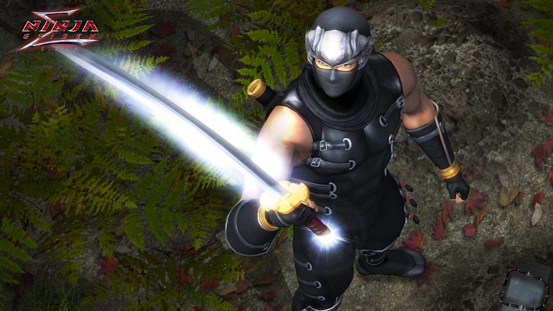 Survivre dans Ninja Gaiden: Master Collection avec quelques astuces de combat