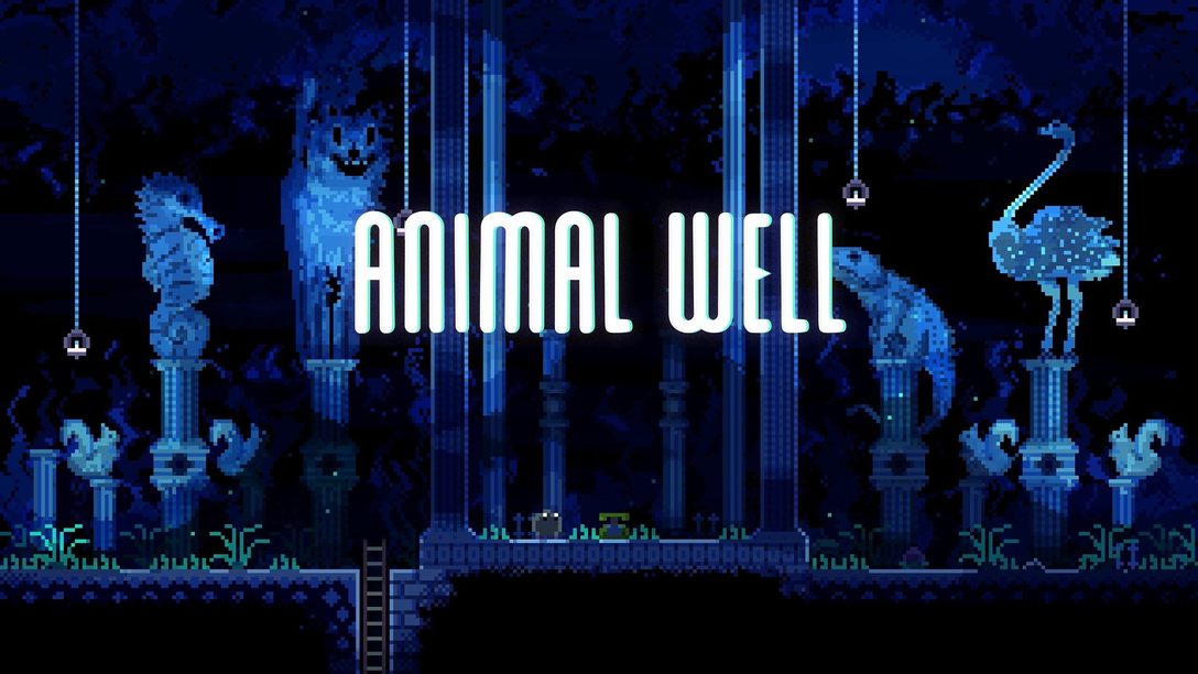 Les secrets d’Animal Well, bientôt sur PS5