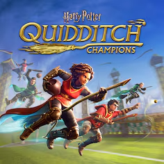 Harry Potter : Champions de Quidditch